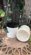 Eucalyptus Dream Whippes Shea butter (Large 16oz)