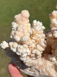 Image 12 of Calcite Crystal Cluster Reef Formation Specimen #1235