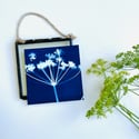 Wish - Mini Framed Cyanotype