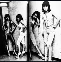 Image 11 of Nobuyoshi Araki "Fake Report"