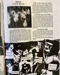 Image 4 of XFlame Of My ConvictionX #1