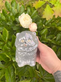 Image 6 of Little Kitty 