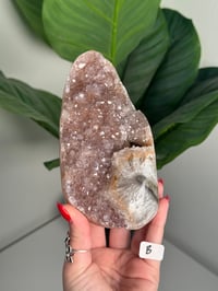 Image 3 of AMETHYST CUT BASES -BRAZIL-