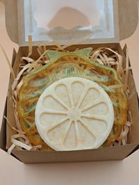 Image 3 of Citrus Burst Shell Set