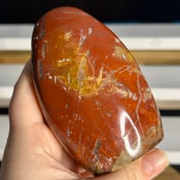 Image 4 of Petrified Wood Freeform (20B)