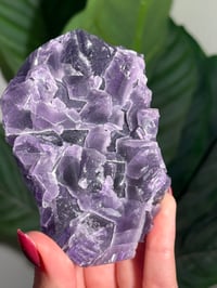 Image 2 of BLUE/PURPLE FLUORITE -CHINA- B