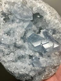 Image 4 of Celestite Geode | Madagascar #1950