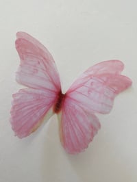 Image 1 of Fairy pink (Larger single butterfly)