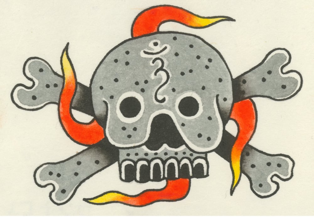 Image of Skull Study 6 