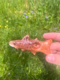 Image 2 of Brown Trout Items