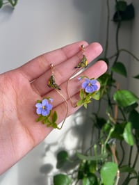 Image 1 of Open frame PANIES in purple 💜