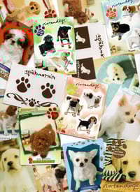 Image 1 of nintendogs merch