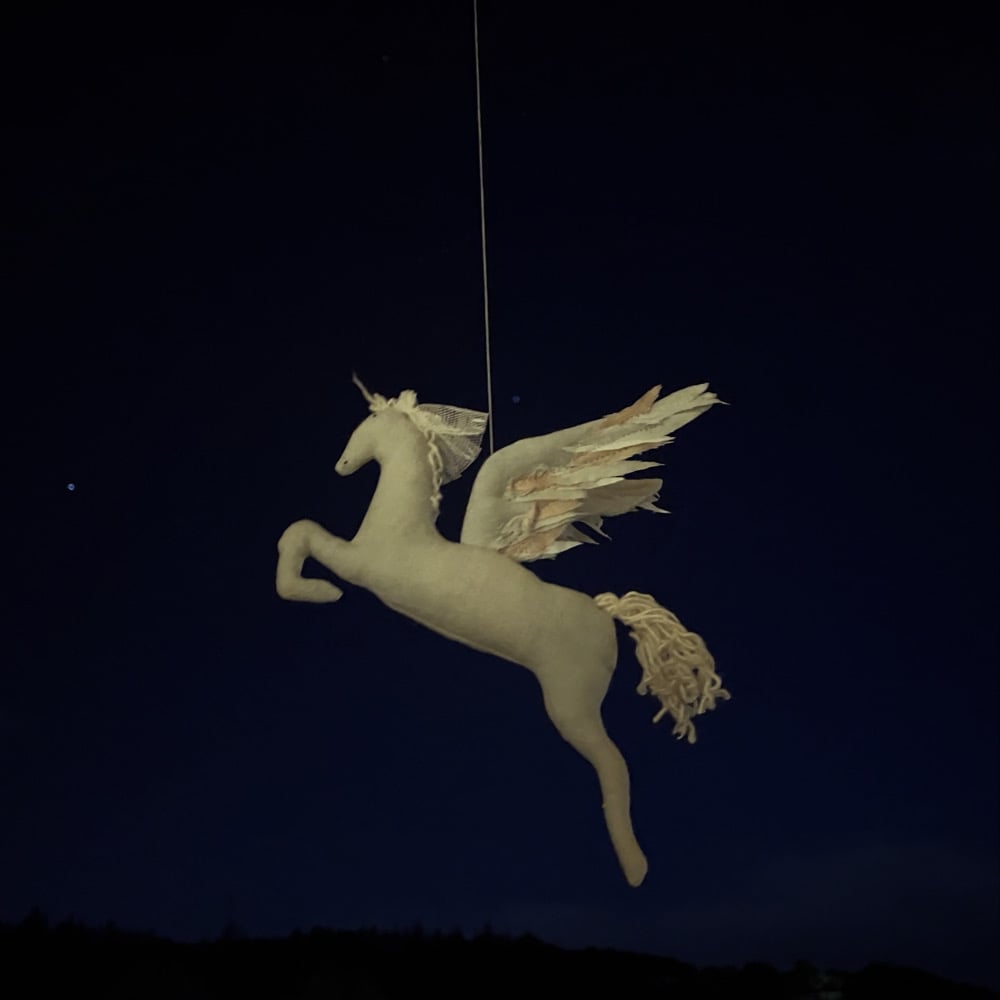 Image of Pegasus mobile 