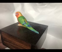 Image 11 of Custom Engraved Sunrise Conure Bird Mini Urn Pet Portrait To Your Photos