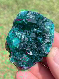 Image 12 of Dioptase Specimen #1695
