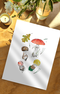 Image 8 of Amanita Muscaria Watercolor Illustration PRINT