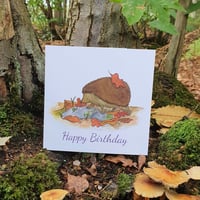Birthday Hedgehog