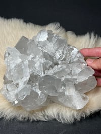 Image 24 of Grey Phantom Quartz Points Cluster #2244