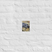 Image 3 of Alligator in River Poster