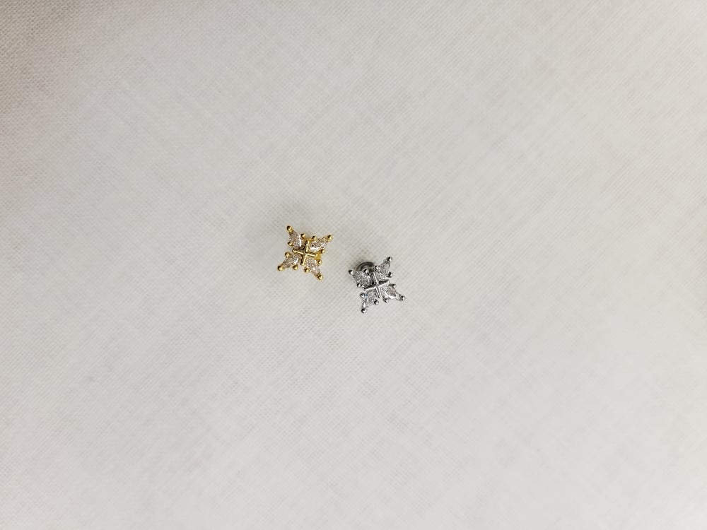 Image of Carlidge Earrings 