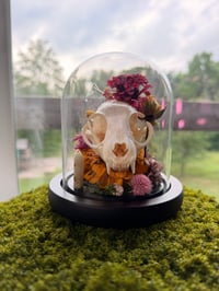 Image 1 of Summer Kitty Cloche 