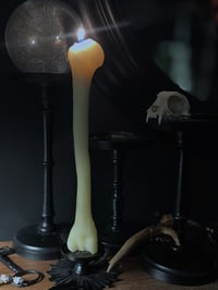 Image 1 of The Relic 