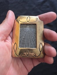 Image 1 of Small Framed Preserved Web B