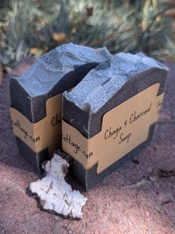 Image of Chaga & Charcoal Soap