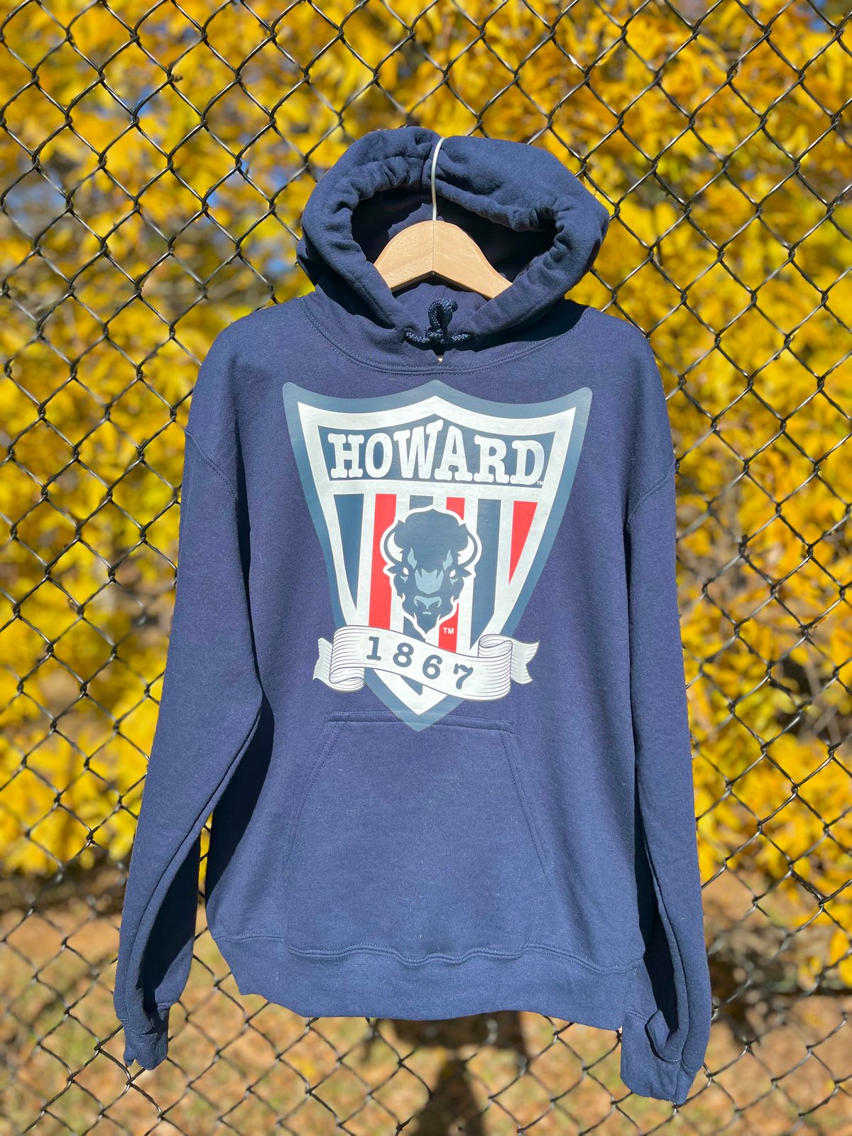 Vintage howard outlet university hoodie