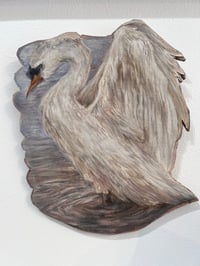 Image 1 of A Little Swan- Bridget Han