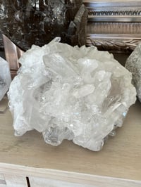 Image 9 of Large Clear Quartz Points Cluster Statement Piece #2133