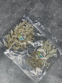 Image 5 of RUSCUS PACKS 