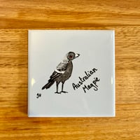 Australian Magpie Coaster