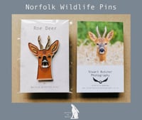 Image 1 of Roe Deer - #5 - Norfolk Wildlife Series - SB Photography