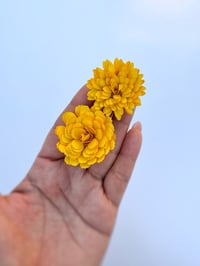 Image 1 of Rolled flower Medium Metal Die Cut READY TO SHIP