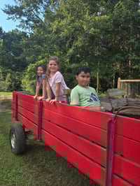 Image 3 of Pumpkin hunt with your favorite dogs, hay ride, pony rides, bounce houses, MORE!