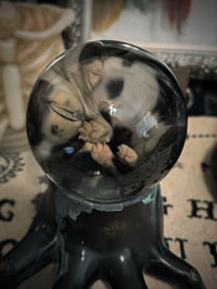Image 4 of Fetal Puppy Crawling Hand 
