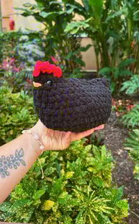 Image 2 of Chunky Chickens