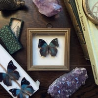 Image 3 of Memphis Butterfly Frame