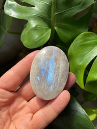 Image 1 of Moonstone Palm Crystal (4)