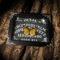 Ouija Plain Tiger 