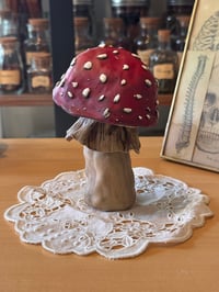 Image 10 of Mysterious Mushrooms