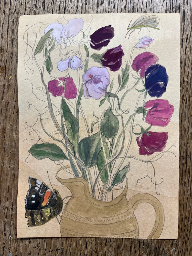 Image of Sweet peas and red admiral 