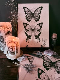 Goth Moth Print