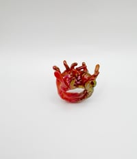 Image 1 of sea urchin ring