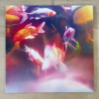 SY3 - 梦游 Sleepwalker