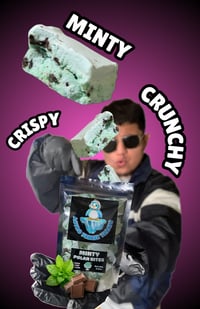 Image 3 of Mint Chocolate Ice Cream
