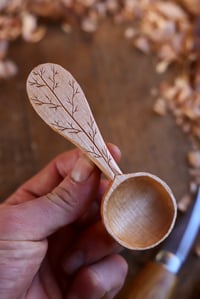 Image 5 of ~ Coffee Scoop 