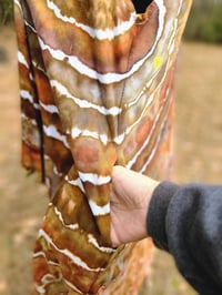 Image 3 of Brown Sugar Strata