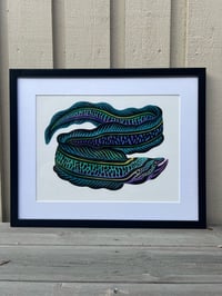 Image 2 of Morena eel